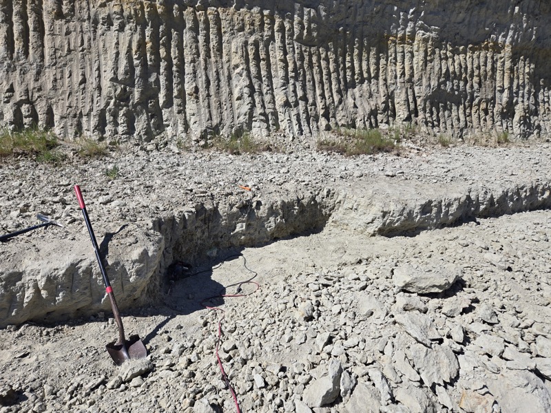 Joseph's Fossil Collection 5